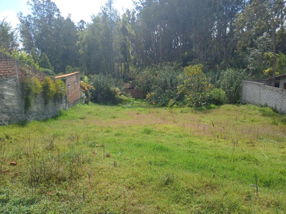 Vendo Terreno en Cotacachi, Calle 10 de Agosto. Imbabura — imagen 7