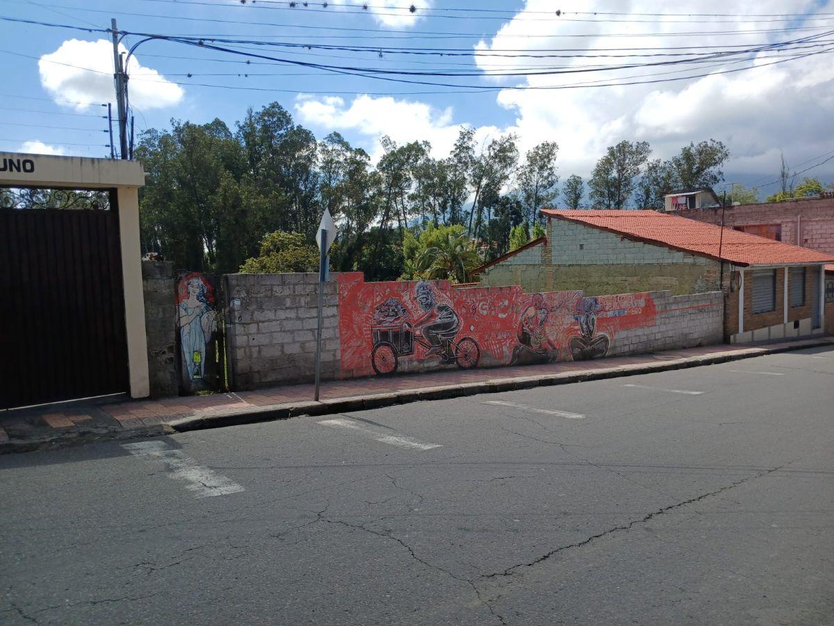 Vendo Terreno en Cotacachi, Calle 10 de Agosto. Imbabura — imagen 6