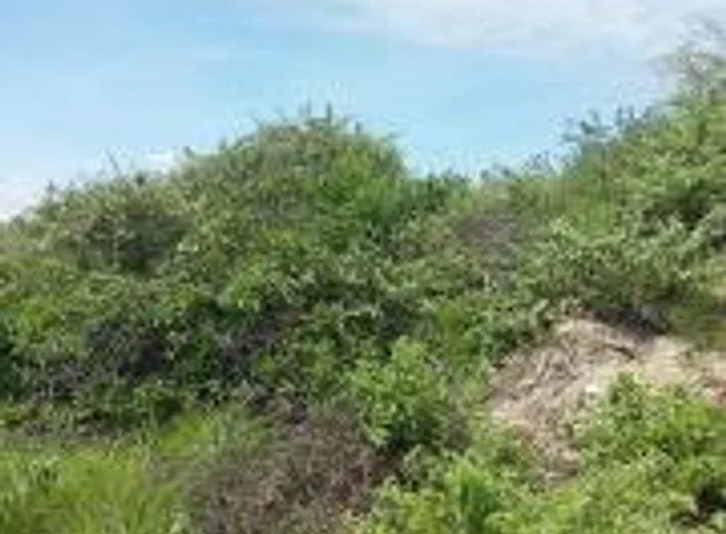 Terreno en venta en San Vicente — imagen 2