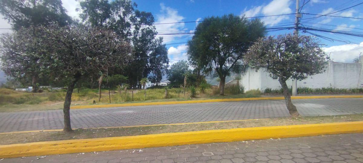 Terreno Plano de 1.055 m² Se Vende Yanazarapata San Juan de Cumbayá. Ideal Proyecto de Vivienda. Provincia de Pichincha — imagen 8