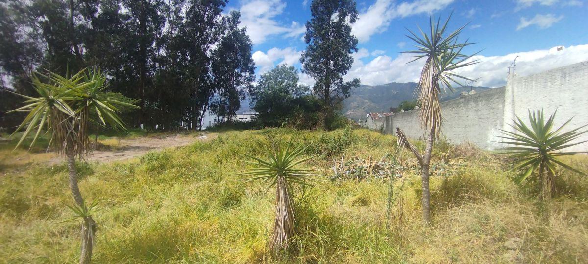 Terreno Plano de 1.100 m² Se Vende Yanazarapata San Juan de Cumbayá. Ideal Proyecto de Vivienda. Provincia de Pichincha — imagen 5