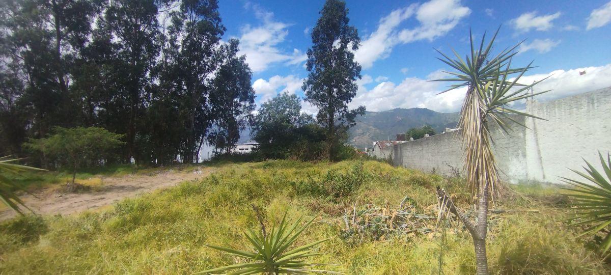 Terreno Plano de 1.100 m² Se Vende Yanazarapata San Juan de Cumbayá. Ideal Proyecto de Vivienda. Provincia de Pichincha — imagen 3