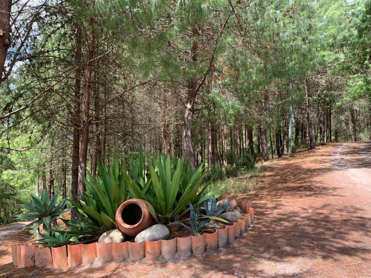 Terreno en Venta, Conjunto Privado. Tutupali, Azuay — imagen 5