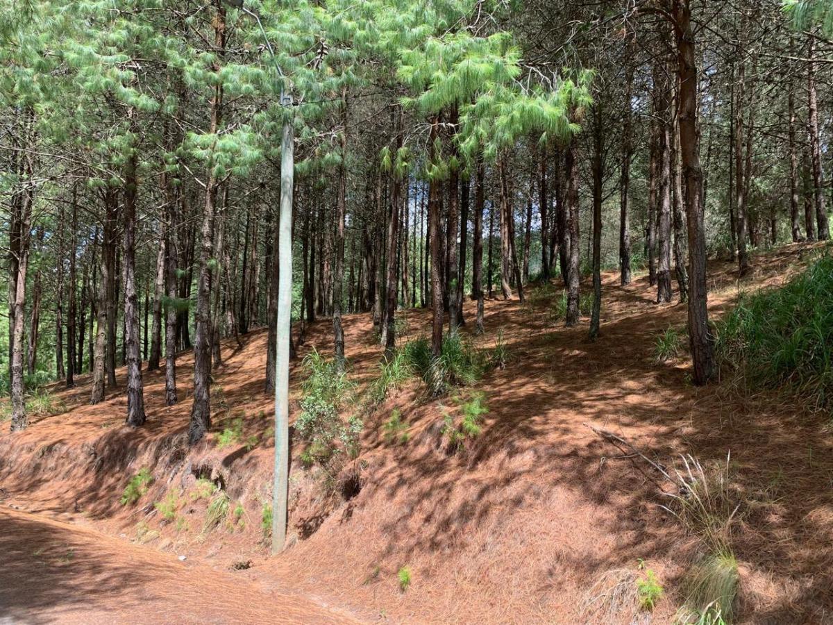Terreno en Venta, Conjunto Privado. Tutupali, Azuay — imagen 4