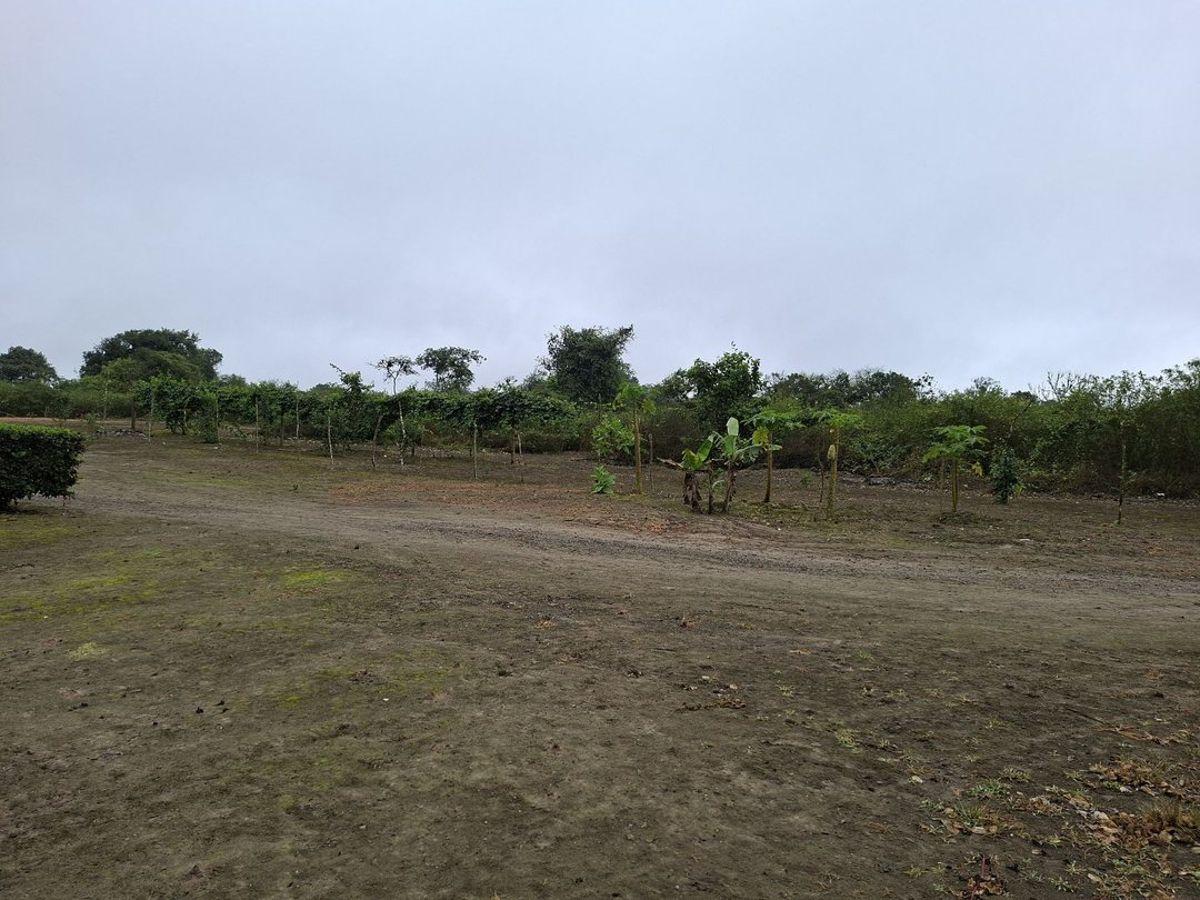 Terreno de Venta en El Aromo Sector La Sierrita, Manabí — imagen 9