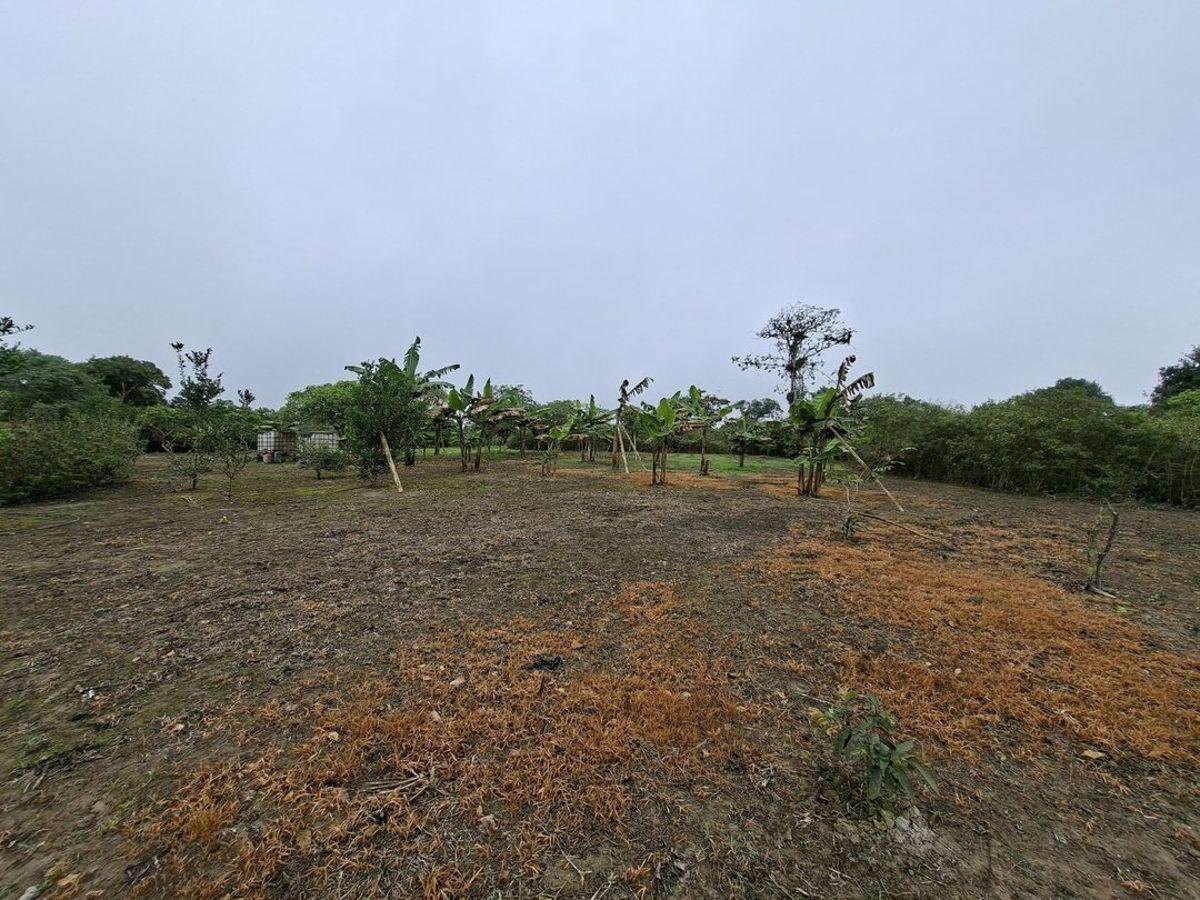 Terreno de Venta en El Aromo Sector La Sierrita, Manabí — imagen 7