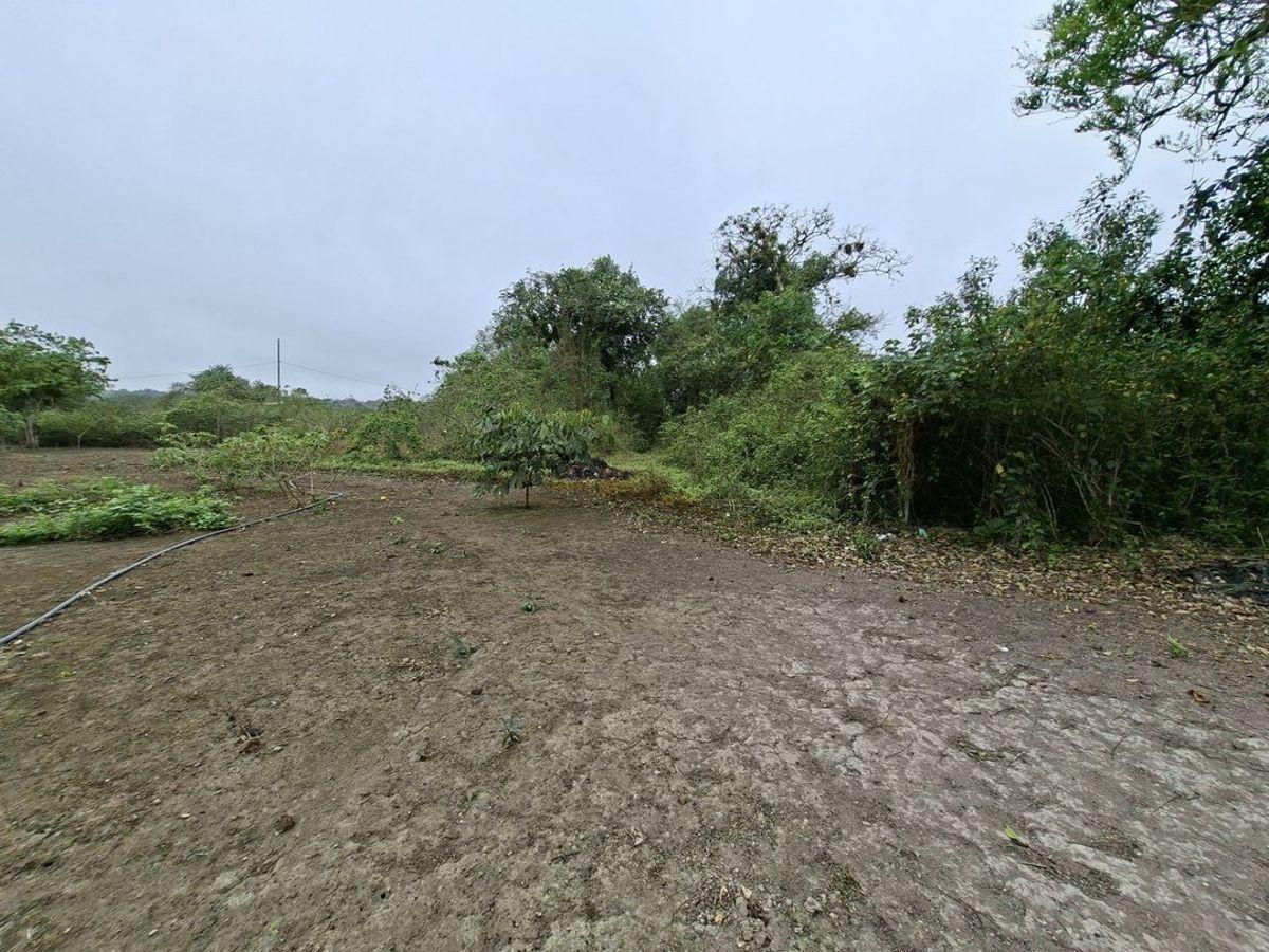 Terreno de Venta en El Aromo Sector La Sierrita, Manabí — imagen 6