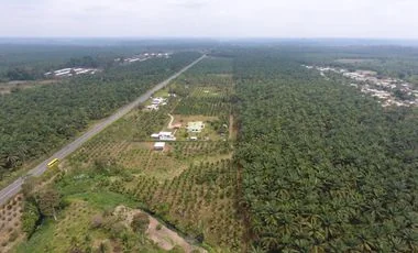 Terreno en venta en Santo Domingo — imagen 3