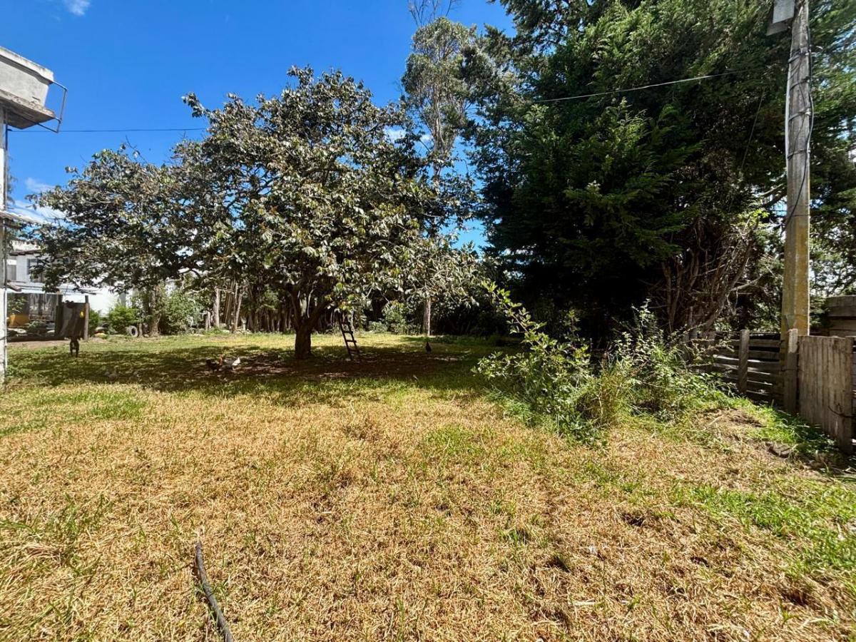 Terreno - Plano de Venta en Tumbaco — imagen 8