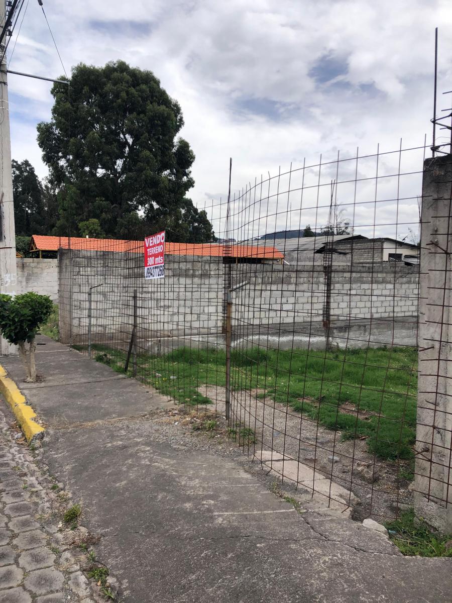 Vendo Terreno San Rafael — imagen 7
