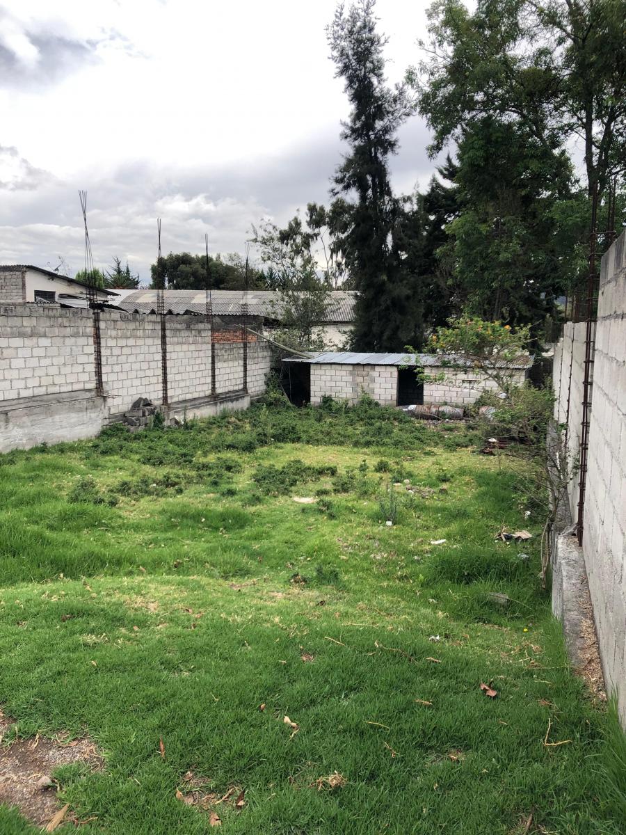 Vendo Terreno San Rafael — imagen 5