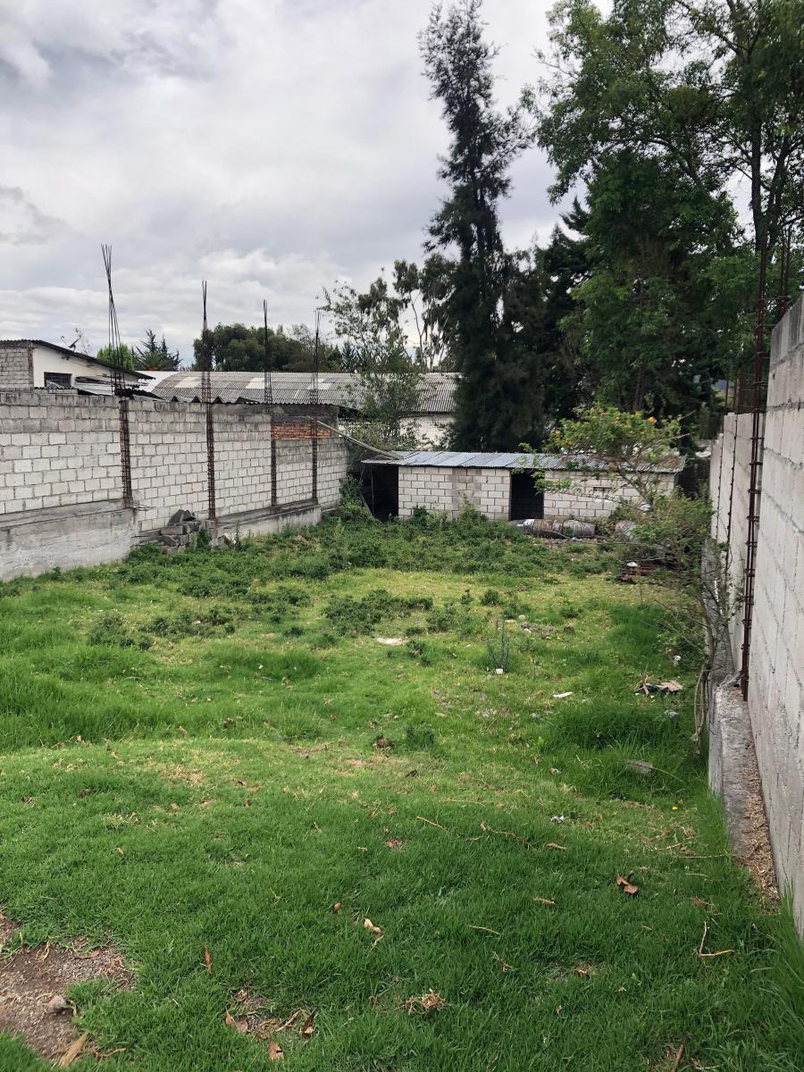 Vendo Terreno San Rafael — imagen 4
