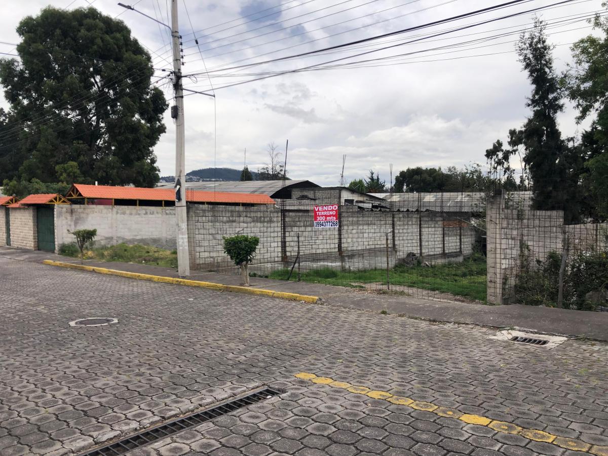 Vendo Terreno San Rafael — imagen 3