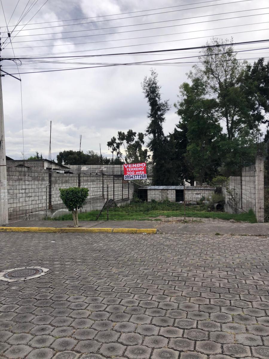 Vendo Terreno San Rafael — imagen 2