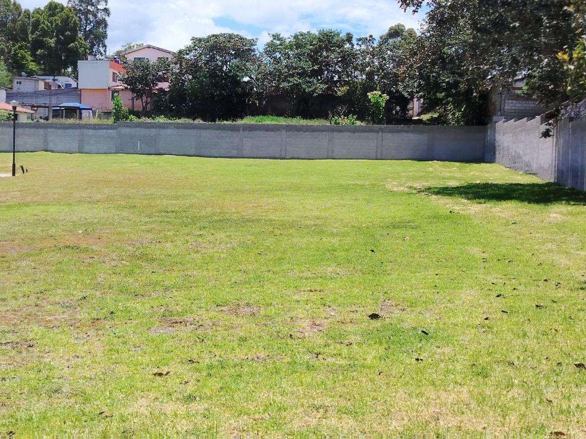 Terreno de Venta en Puembo — imagen 8