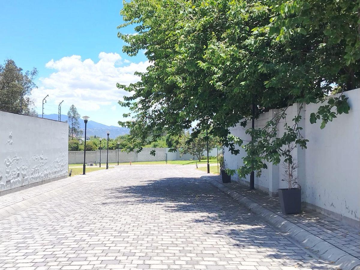 Terreno de Venta en Puembo — imagen 2