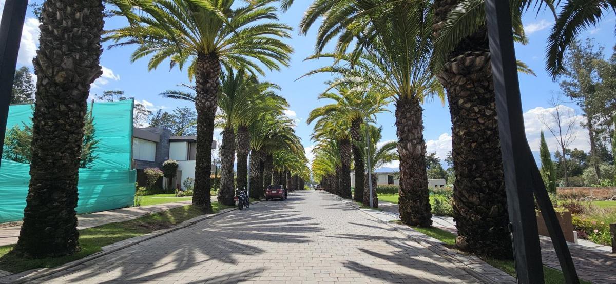 Terreno de Venta en Puembo — imagen 10