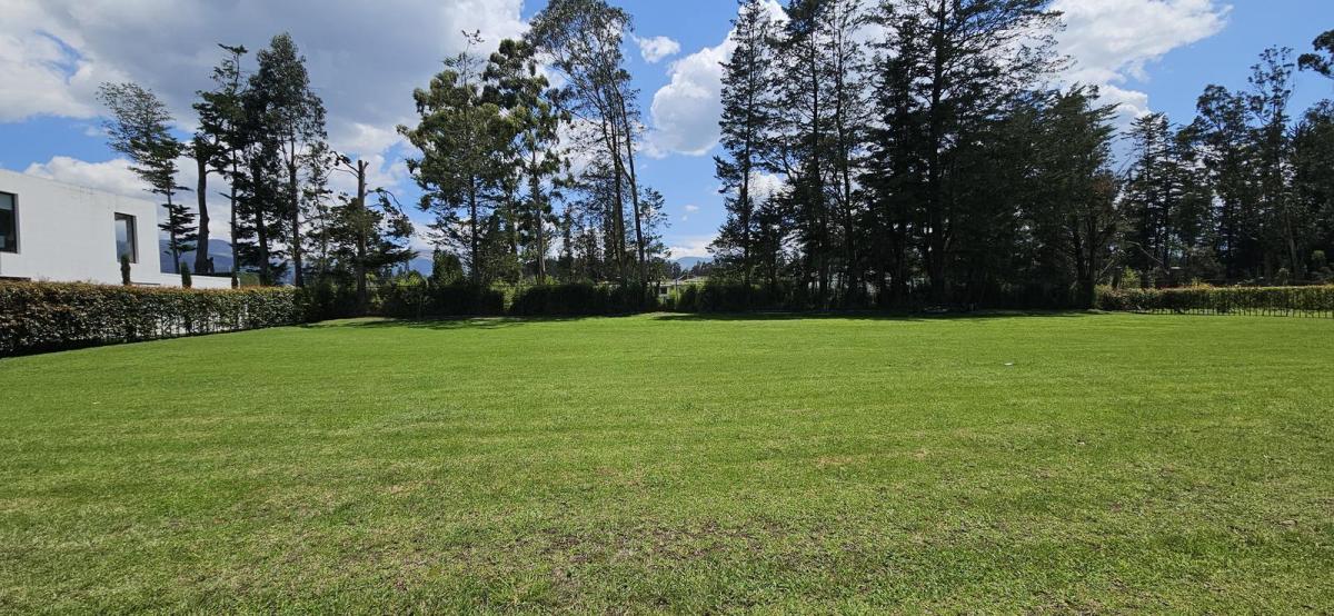 Terreno de Venta en Puembo — imagen 9