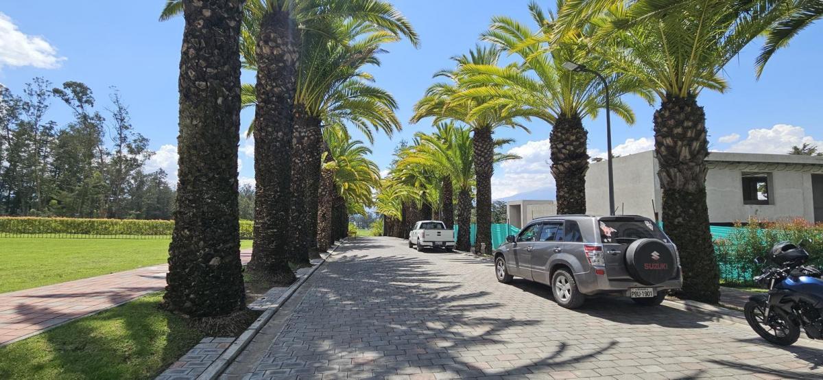 Terreno de Venta en Puembo — imagen 6