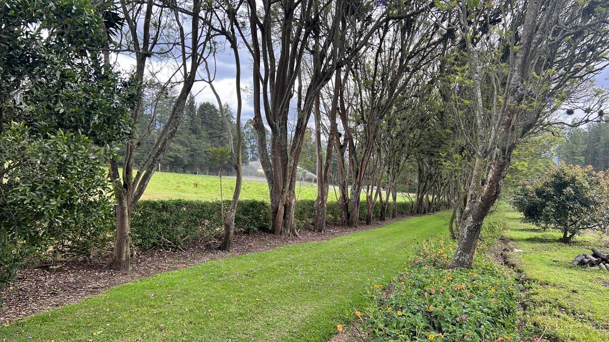 Checa Terrenos de Venta en Urbanizacion Privada — imagen 7