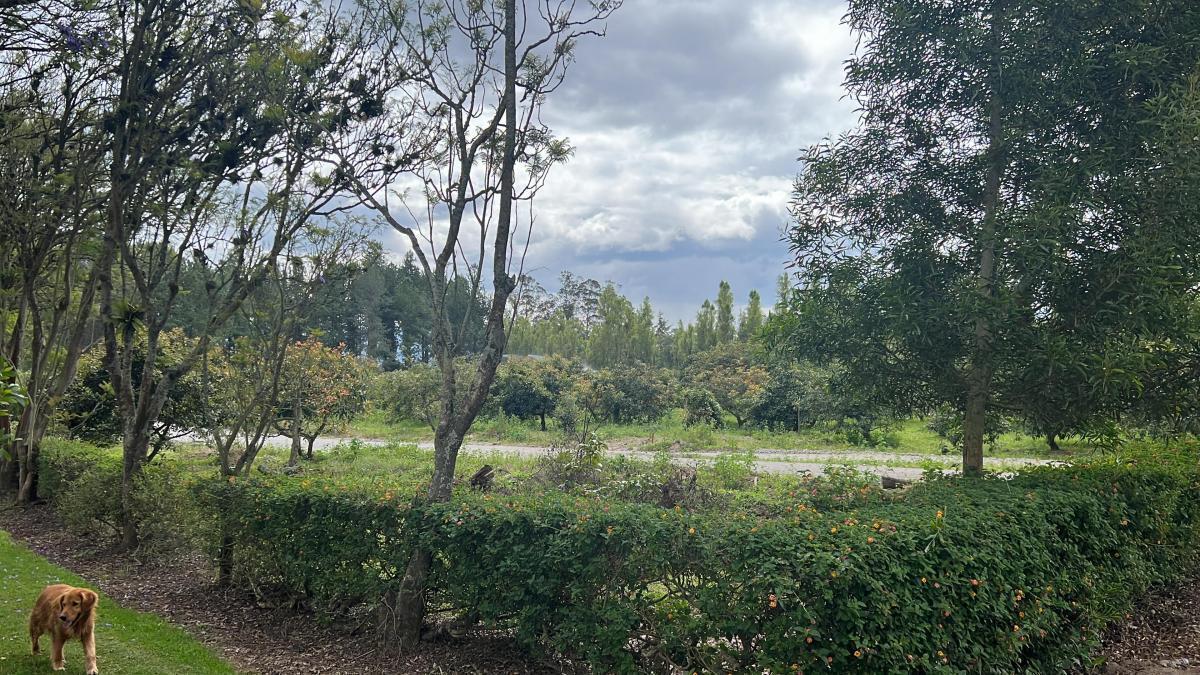 Checa Terrenos de Venta en Urbanizacion Privada — imagen 6