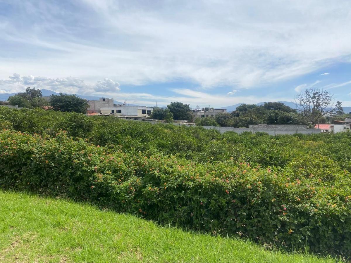 Vendo Lote en Puembo en Urbanizacion Ecoeficiente, Precio de Oportunidad — imagen 2