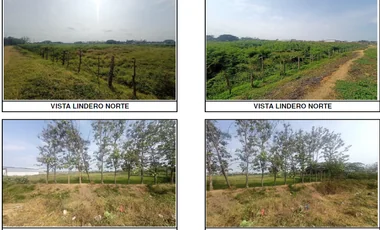 Terreno en venta en Bellavista — imagen 5