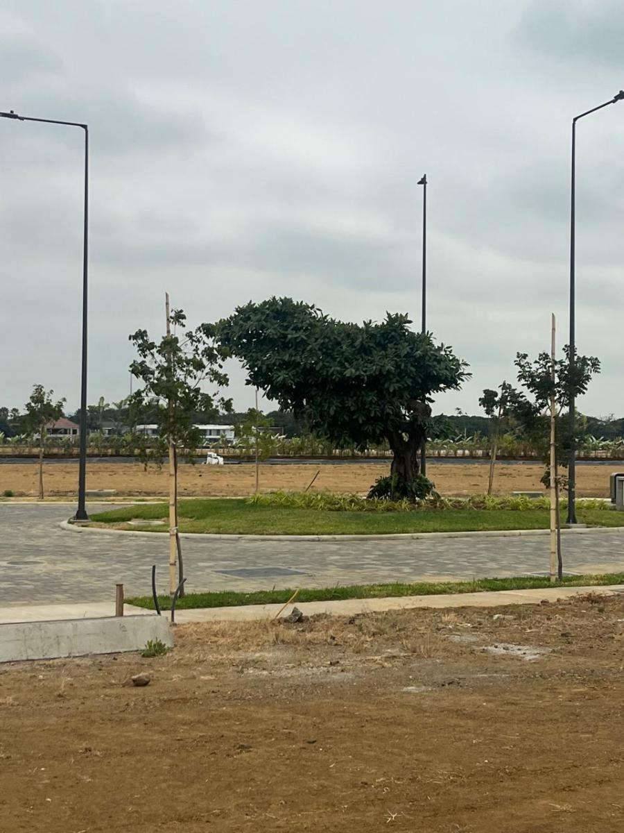 Mocoli Urbanización Moriah Terrenos en Venta, Guayas — imagen 2