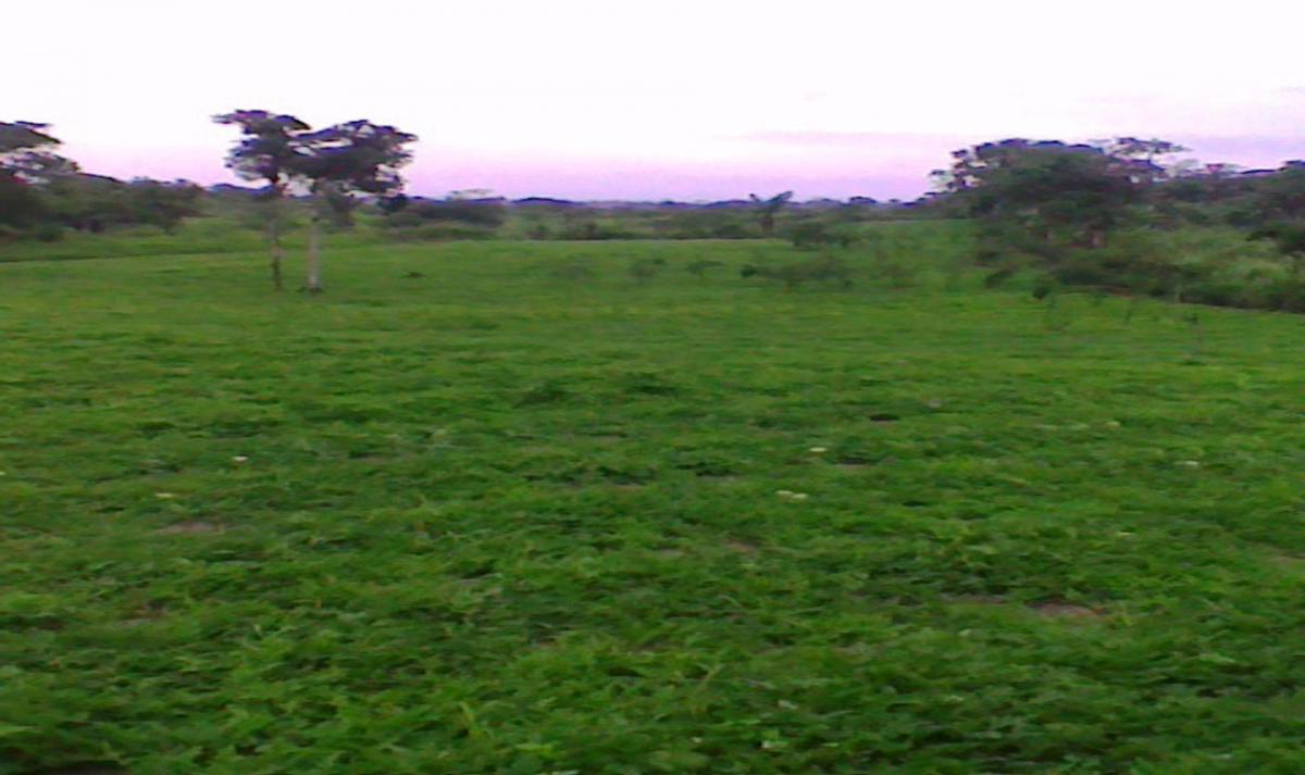 Terreno de Venta en Manta El Aromo, Manabí — imagen 10