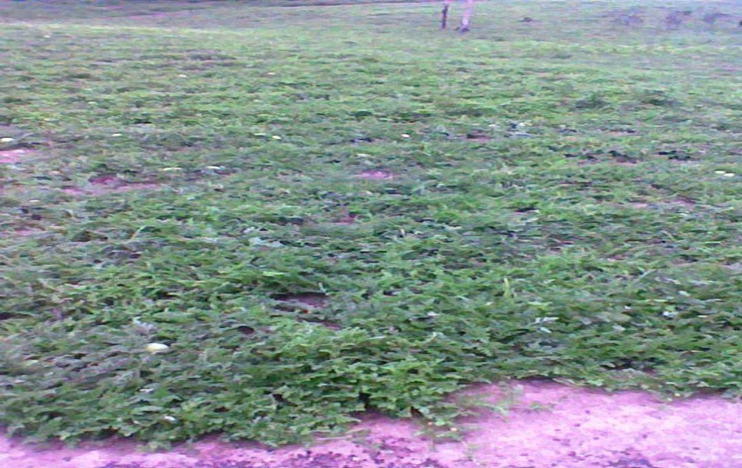 Terreno de Venta en Manta El Aromo, Manabí — imagen 2