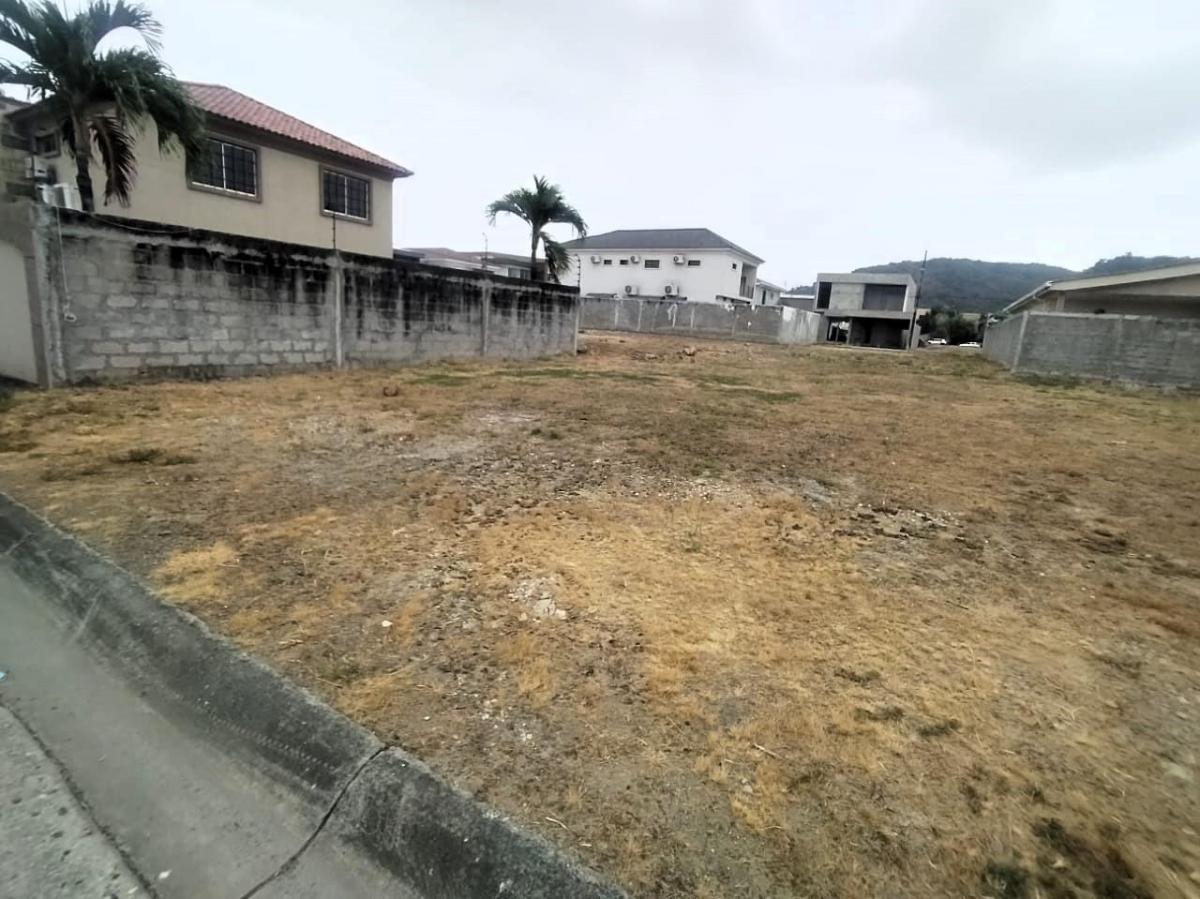 Terreno en Venta, 590 m², Urbanización Condado de Vicolinci, La Aurora, Guayas — imagen 5