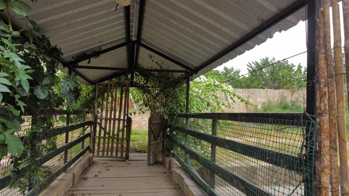 Finca de Venta Via Portoviejo Santa Ana F/a, Manabí — imagen 10