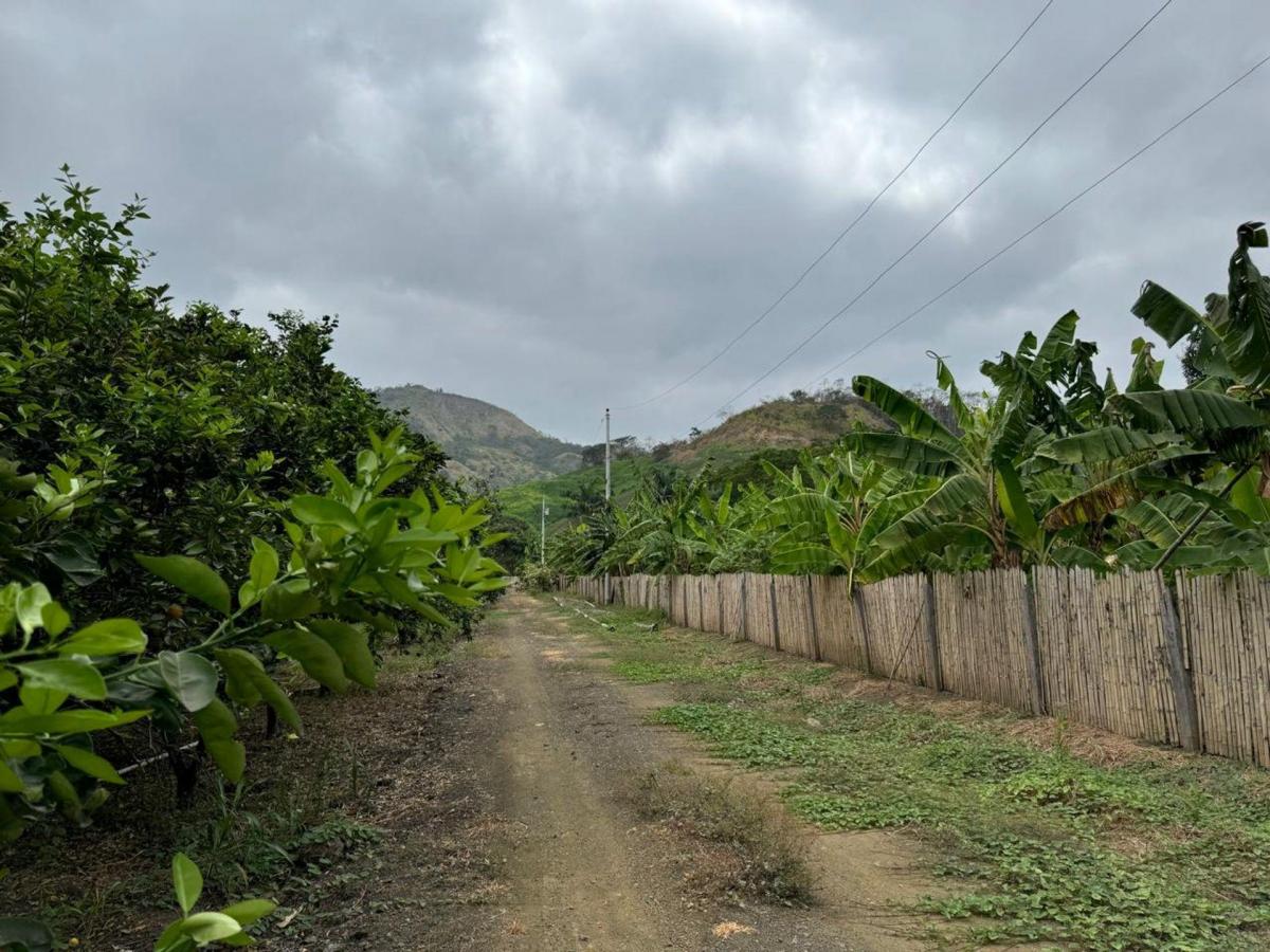 Finca de Venta Via Portoviejo Santa Ana F/a, Manabí — imagen 7