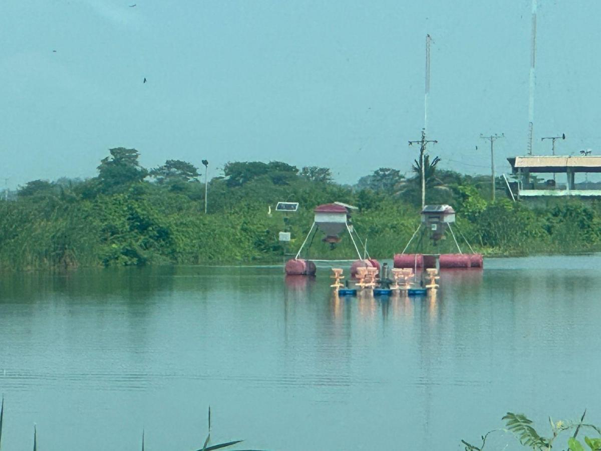 Vendo Camaronera en Duran Guayas, Guayas — imagen 8