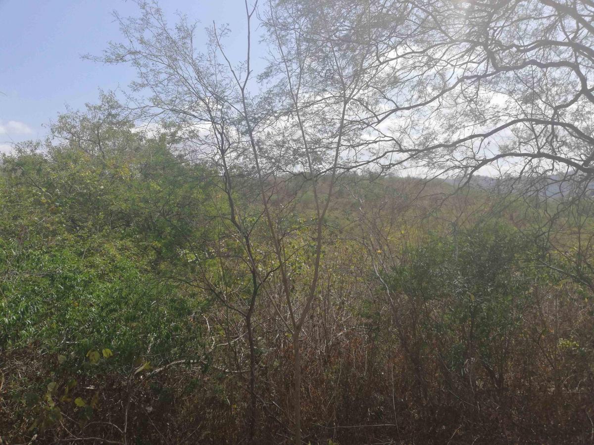 Terreno de Venta Sector El Limón en Portoviejo, Manabí — imagen 5