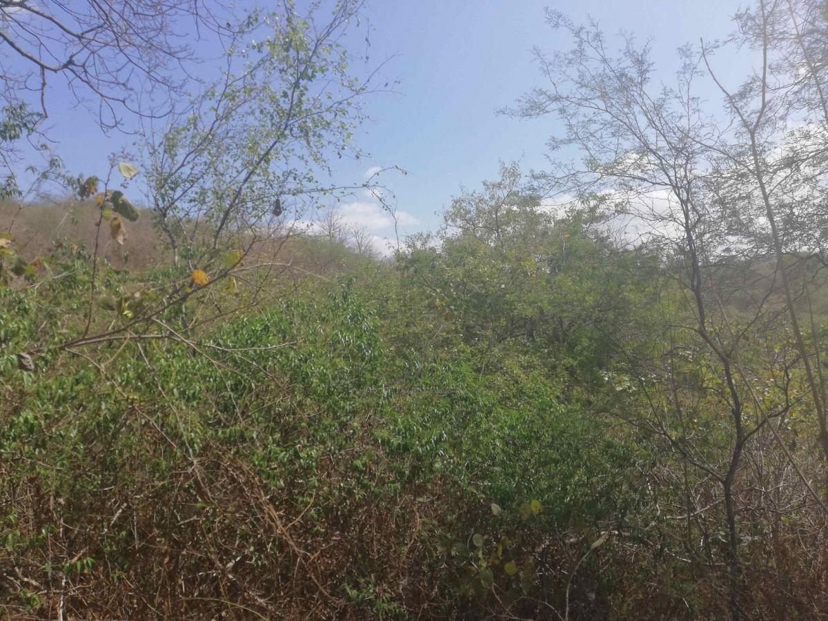 Terreno de Venta Sector El Limón en Portoviejo, Manabí — imagen 4