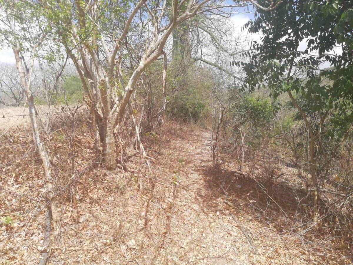 Terreno de Venta Sector El Limón en Portoviejo, Manabí — imagen 2
