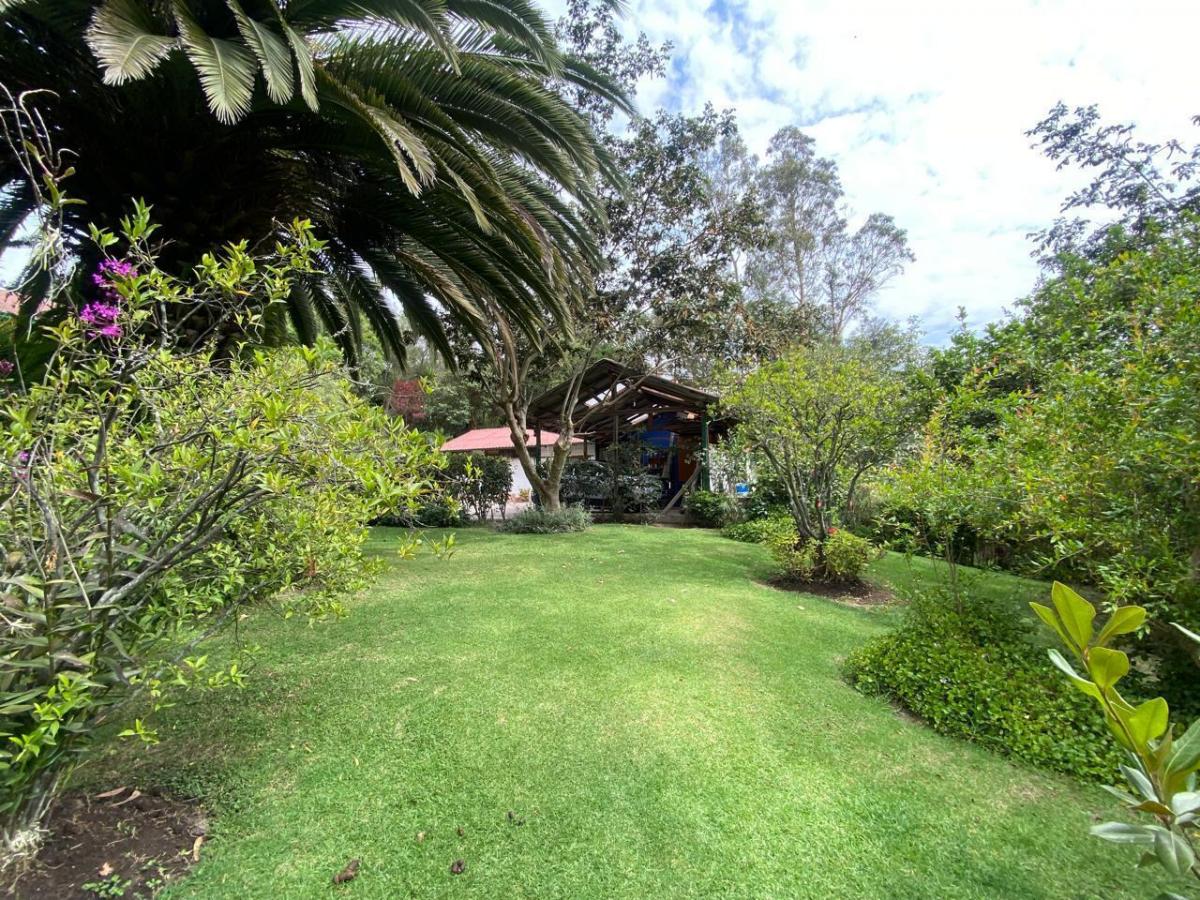 Venta Terreno Sector San Juan de Cumbayá — imagen 6