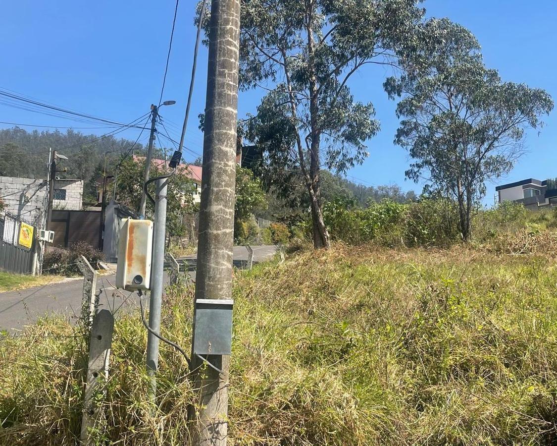 En Venta Terreno Para Proyecto Inmobiliario - San Juan de Cumbaya - *mm — imagen 6