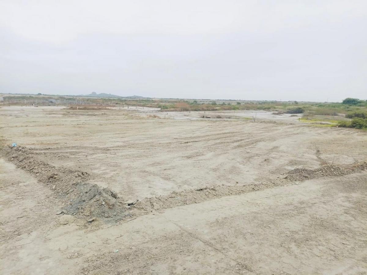 Terreno en Venta en Lotización en Playas de Villamil, Guayas — imagen 10
