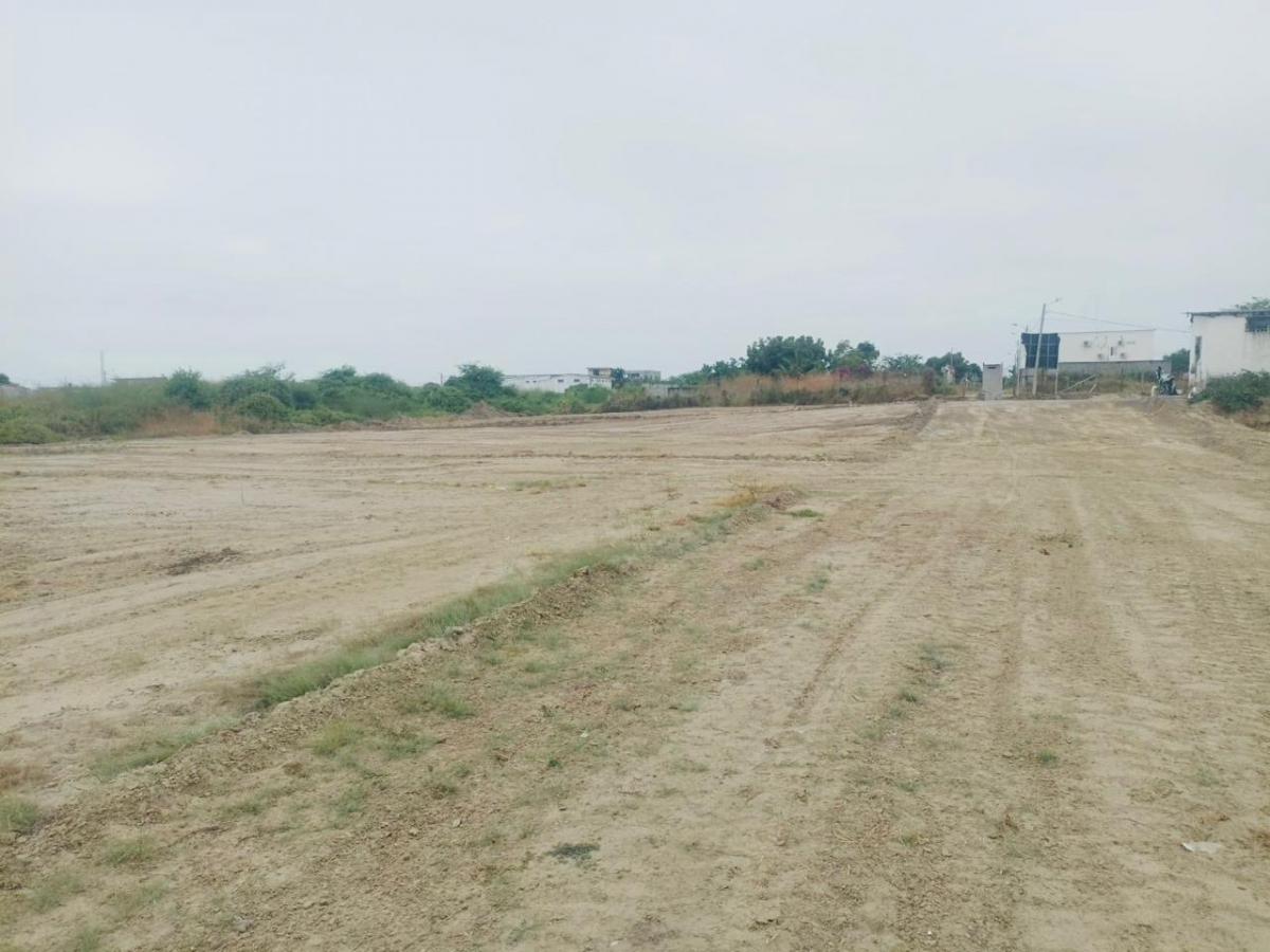 Terreno en Venta en Lotización en Playas de Villamil, Guayas — imagen 8