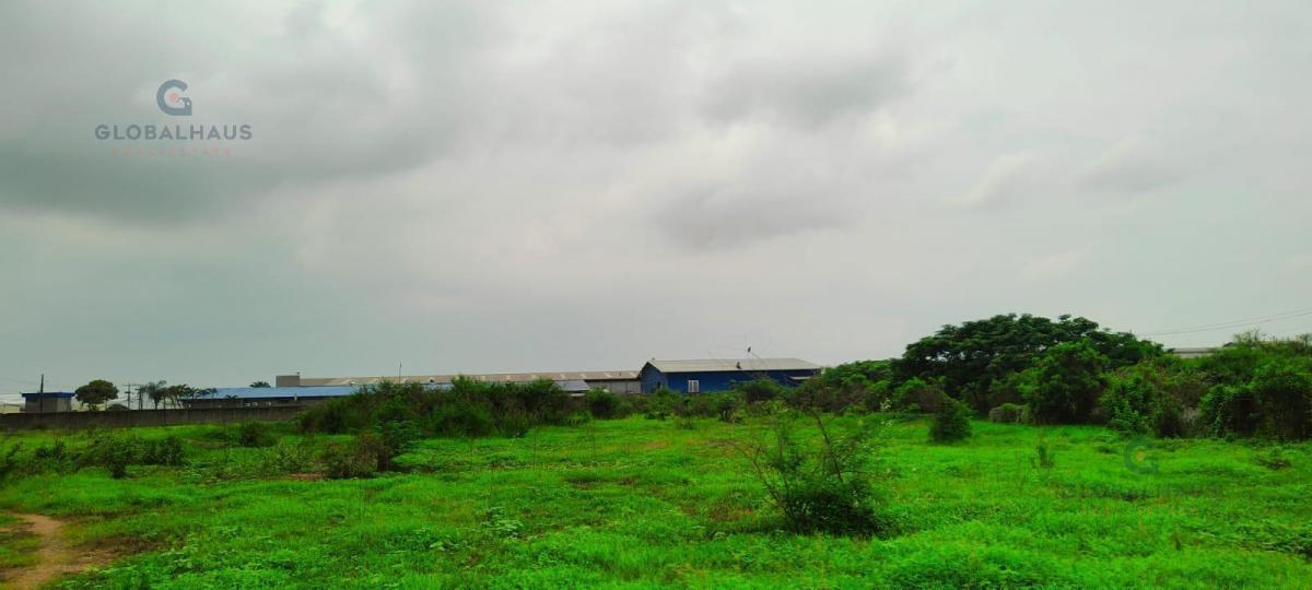 Venta de Macro Lote Industrial en Vía Duran Tambo de 10.000 m². J. C, Guayas — imagen 5