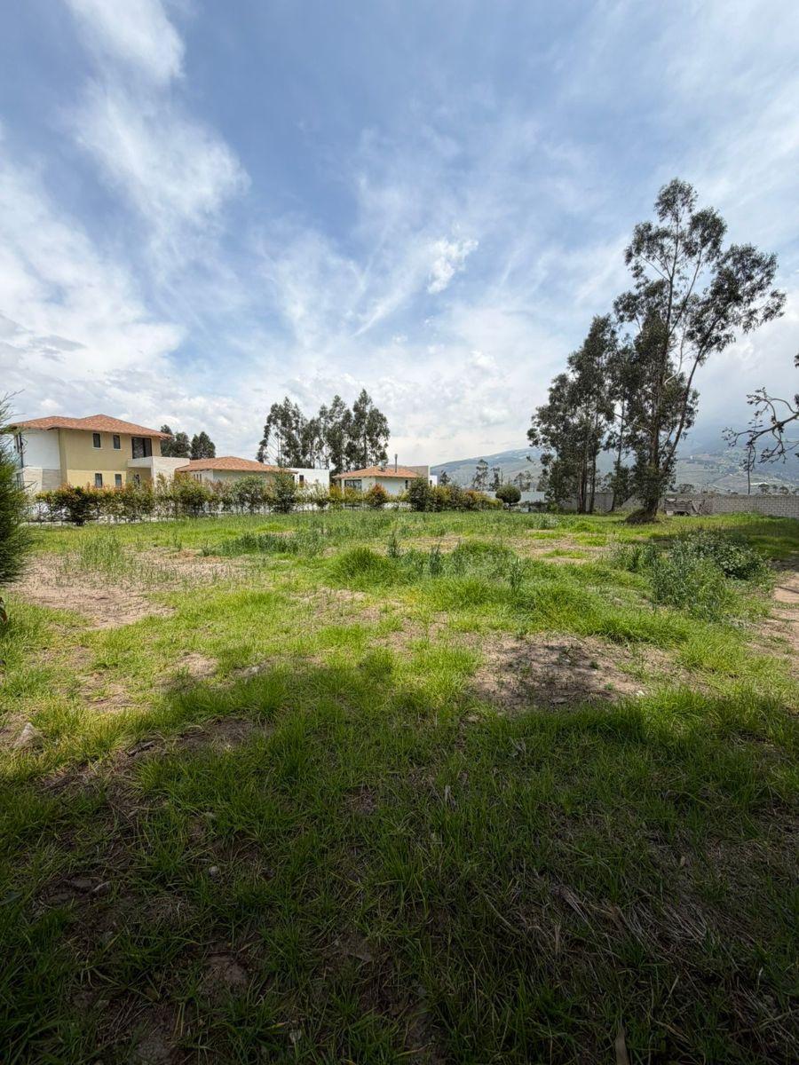 Terreno Residencial Urb. La Pradera Tabacundo — imagen 10