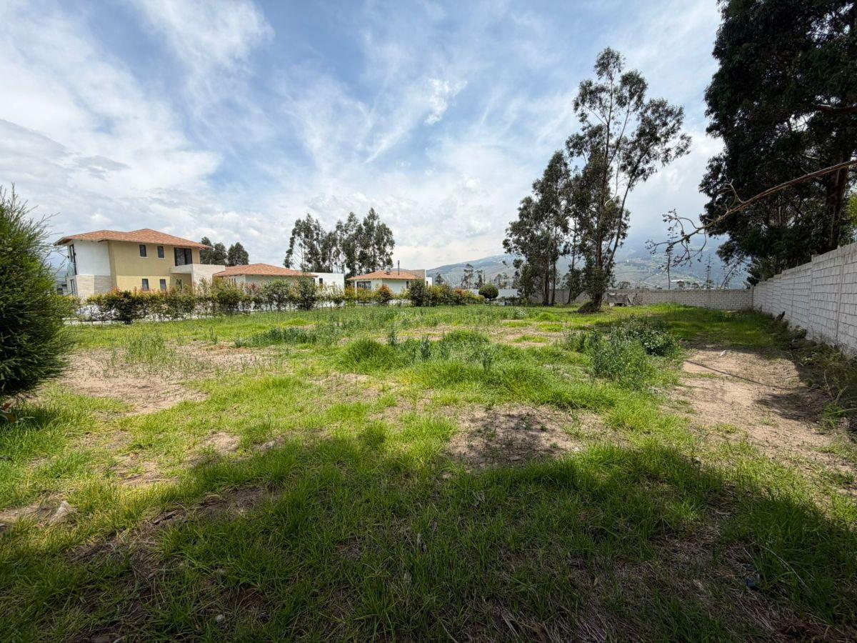 Terreno Residencial Urb. La Pradera Tabacundo — imagen 9