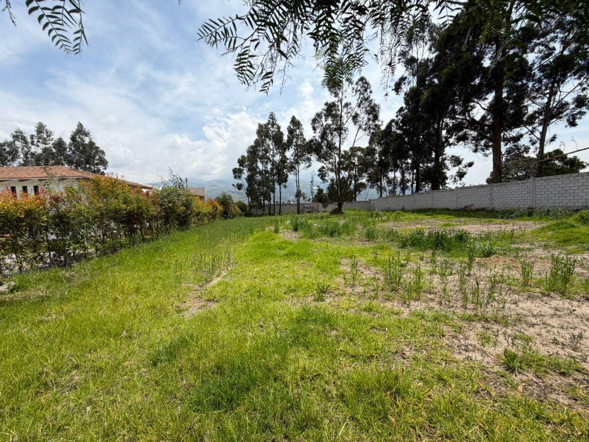 Terreno Residencial Urb. La Pradera Tabacundo — imagen 8
