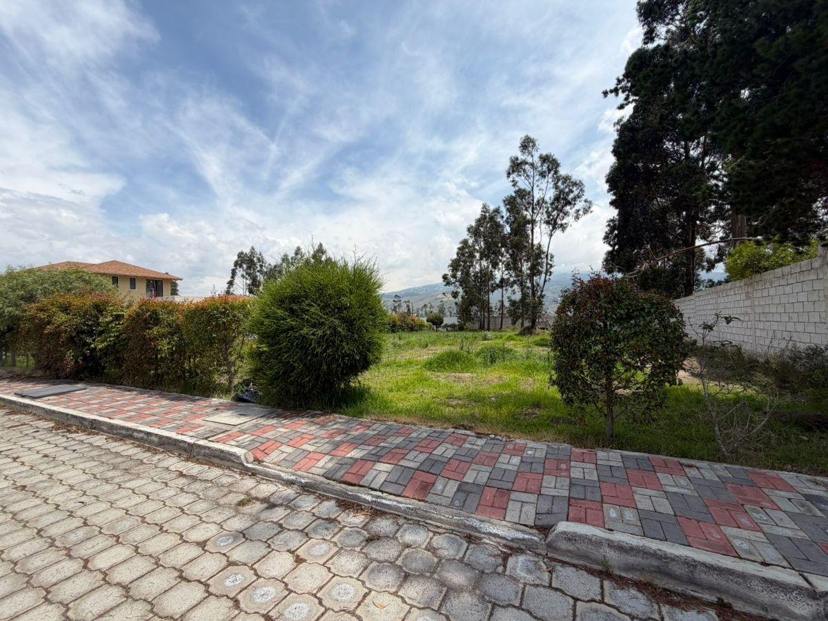 Terreno Residencial Urb. La Pradera Tabacundo — imagen 7