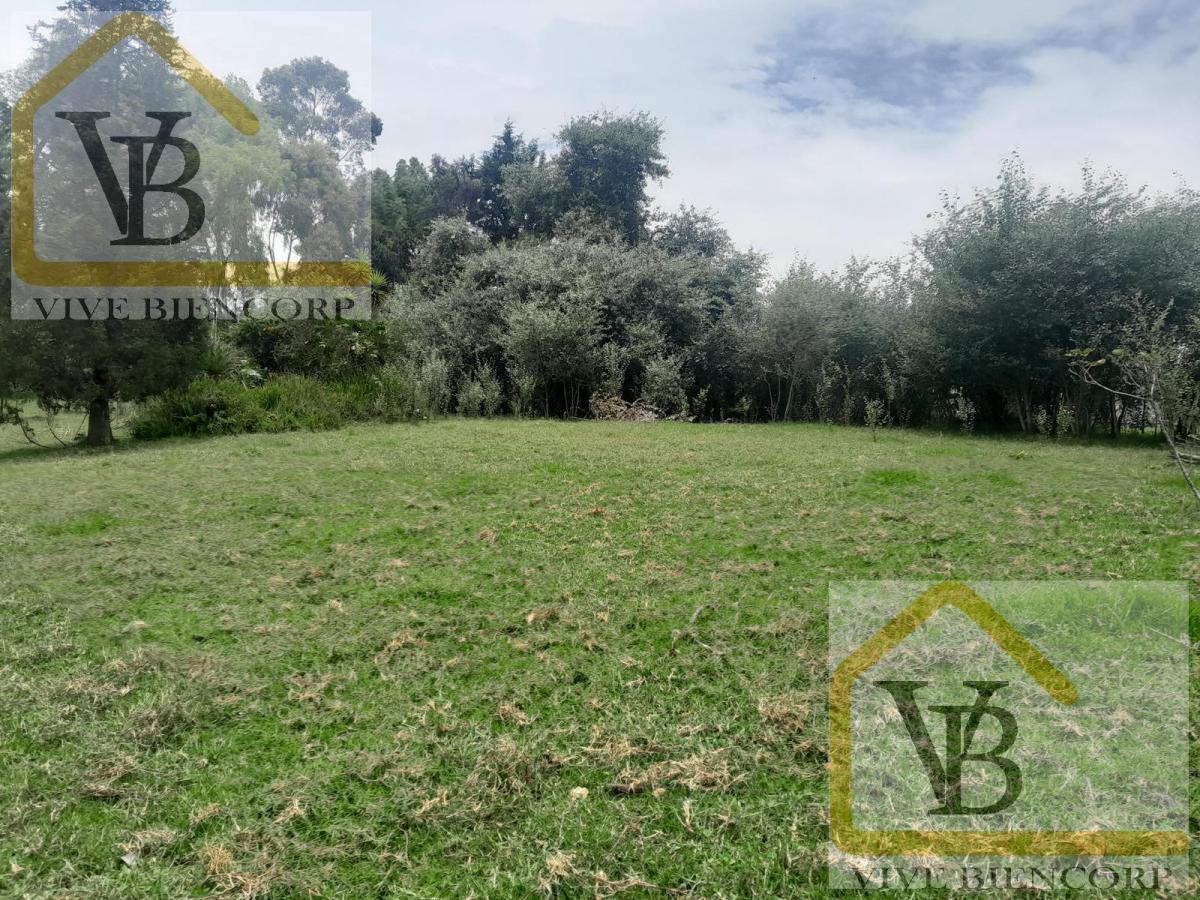 Terreno en Venta en El Valle de Los Chillos 4500 m. Provincia de Pichincha — imagen 10