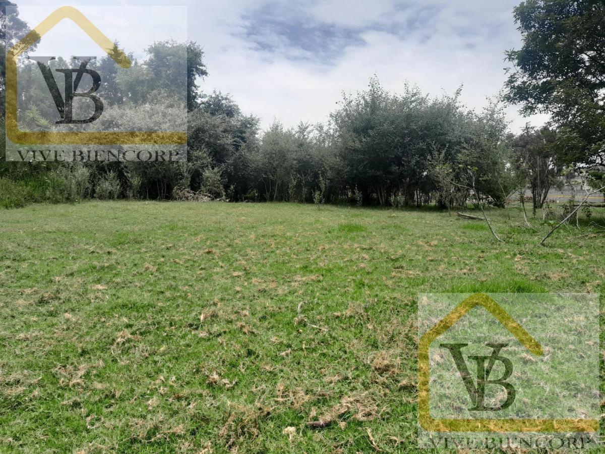 Terreno en Venta en El Valle de Los Chillos 4500 m. Provincia de Pichincha — imagen 8