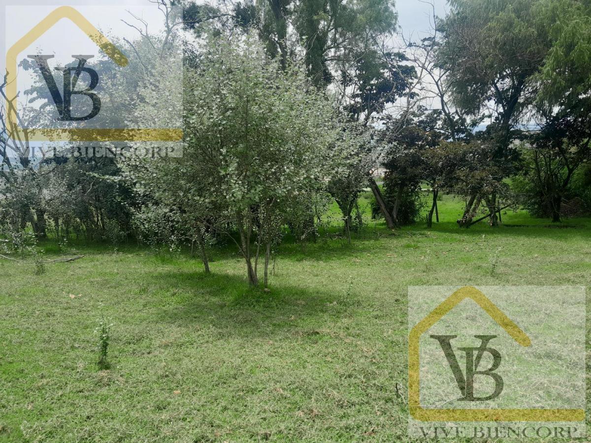 Terreno en Venta en El Valle de Los Chillos 4500 m. Provincia de Pichincha — imagen 7