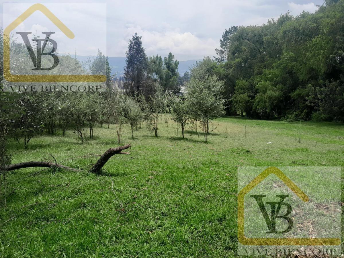 Terreno en Venta en El Valle de Los Chillos 4500 m. Provincia de Pichincha — imagen 2